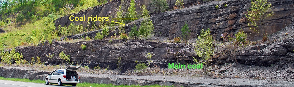 Coal and coal rider in a roadcut in eastern Kentucky.